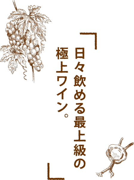 日々飲める最上級の極上ワイン。