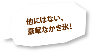 他にはない、豪華なかき氷！